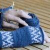 thanksgiving mitts